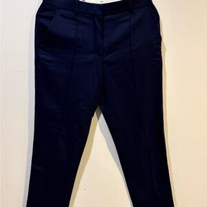 Everlane Navy Slim Tapered Wool Pants